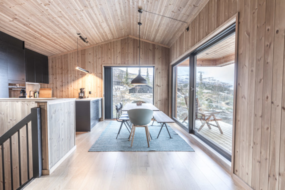 Varme trematerialer i minimalistisk hytte